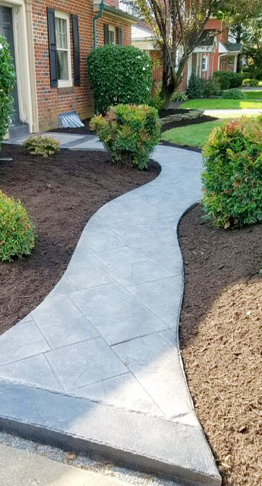 A walkway in the middle of a garden.