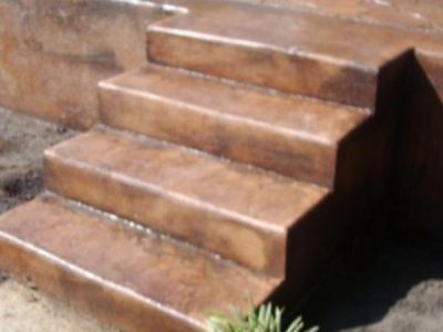 A close up of steps on concrete with plants in the background