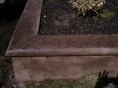 A concrete step with a flower bed in the background.